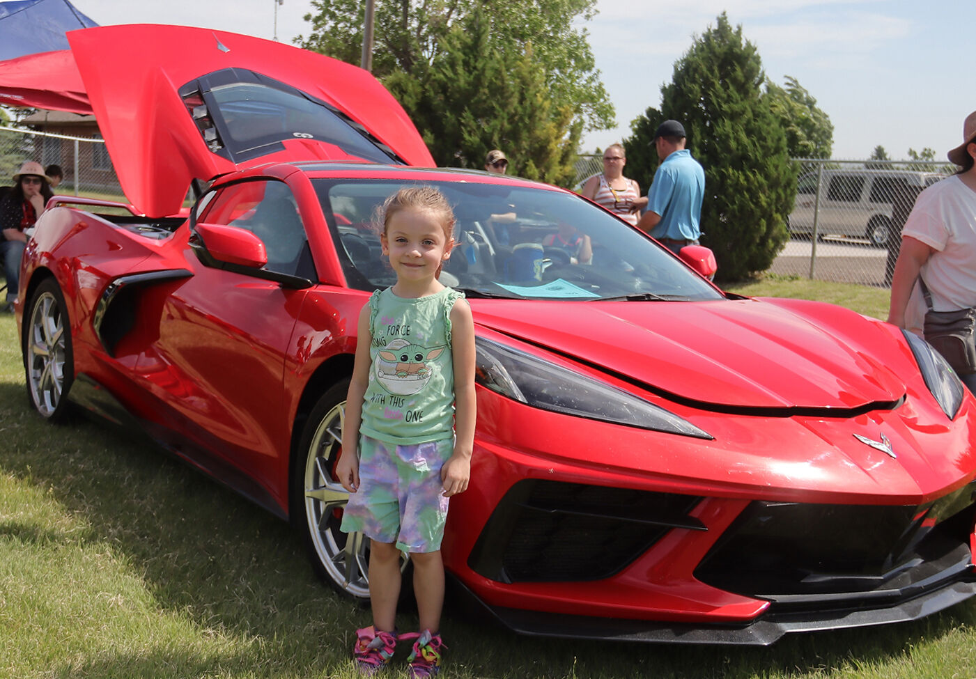 Showing off: More than 250 vehicles displayed at Father's Day Classic Car Show